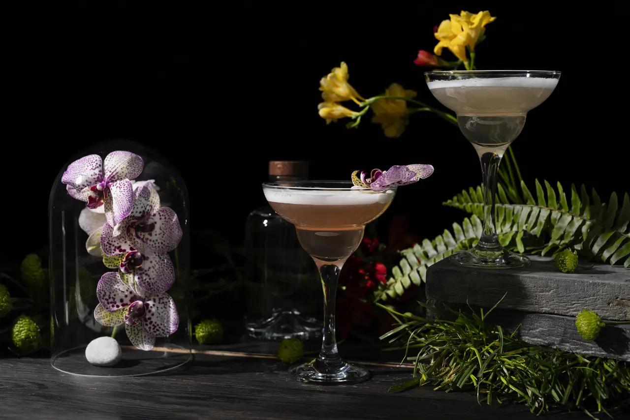 Botanical Drinks: A Harmony of Flavor from Nature to Glass