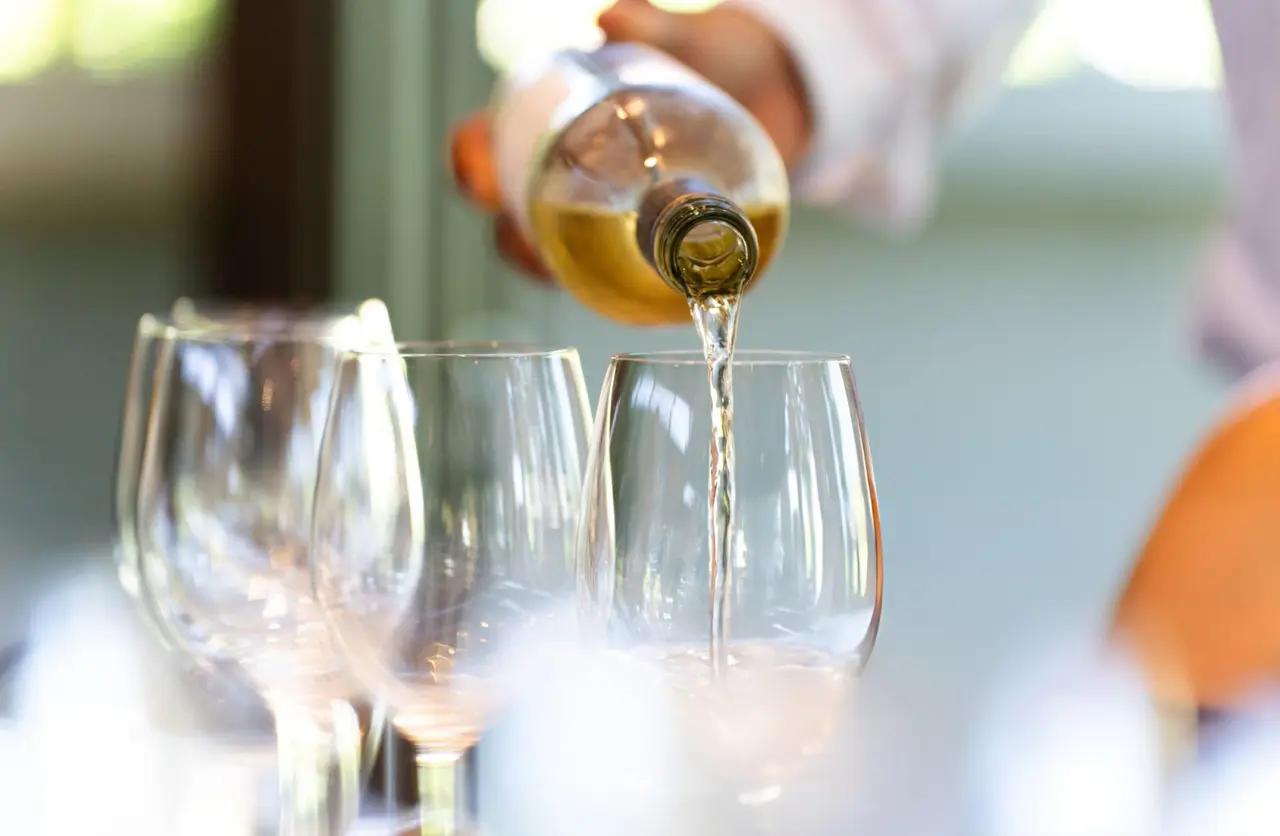 Exploring White Wine Varieties: Flavors, Styles, and Pairings Meta